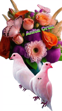 a picture of a bouquet of flowers with anita cruz written on it