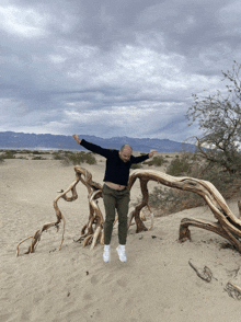 a man in a black sweater is standing next to a tree in the sand