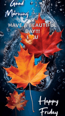 a good morning message with a picture of leaves in the water