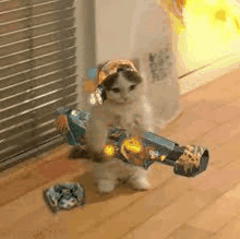 a cat wearing a hat and holding a toy gun .