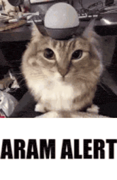 a cat is sitting on a person 's lap with a light on its head .