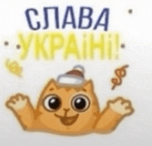 a cartoon cat with a hat on its head with the words slava ukraine behind it