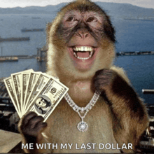 a monkey wearing a diamond necklace is holding a bunch of money