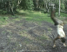 a person is doing a handstand in a field with trees in the background