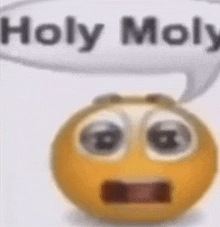 a cartoon smiley face with a speech bubble that says `` holy molly '' .