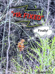 a picture of a tiger in the woods with the words " tik fixed "