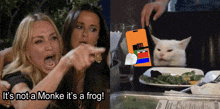 two women are pointing at a cat with the caption it 's not a monk it 's a frog