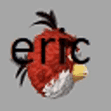 a red bird with the name eric written on it