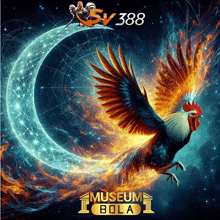 a poster for museum bola with a rooster and a crescent moon in the background