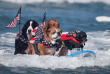 four dogs wearing american flag outfits are riding a surfboard