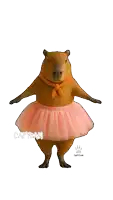 a capybara wearing a pink tutu with the word capybam on the bottom
