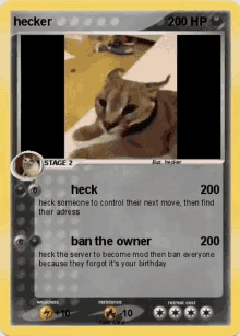 a fake pokemon card with a cat on it