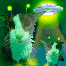 a cat is standing in front of a flying saucer with green lights