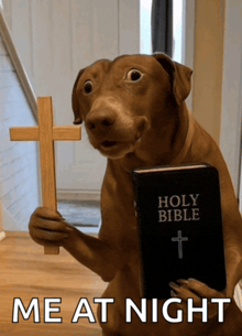 a dog holding a cross and a holy bible with the words me at night below it