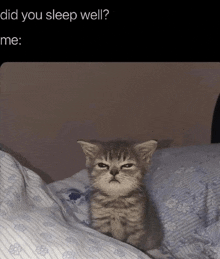 a kitten is laying on a bed with a caption that says did you sleep well