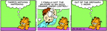 a cartoon of garfield talking about wildfire in his sock drawer under control