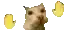 a close up of a dog 's face with two yellow circles in the background .