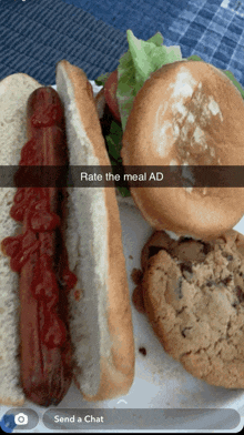 a picture of a hot dog a hamburger and a cookie with a caption that says rate the meal ad