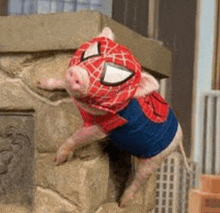 a pig is wearing a spiderman costume and climbing up a stone wall .