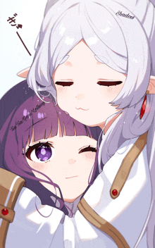 a girl with purple hair is hugging another girl with white hair and the word shadow on the bottom