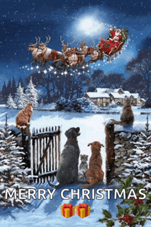 a merry christmas greeting card with dogs and cats watching santa in his sleigh