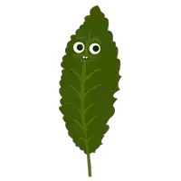 a green leaf with big eyes and teeth on it