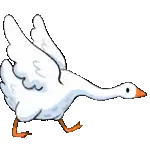 a cartoon of a white goose with orange legs