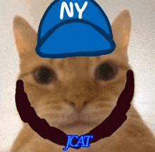 a close up of a cat wearing a blue hat and a collar .