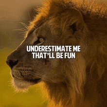 a lion with the words underestimate me that 'll be fun