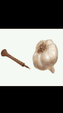 a garlic bulb next to a wooden flute on a white surface .