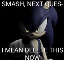 a picture of sonic the hedgehog with the caption " smash next ques "