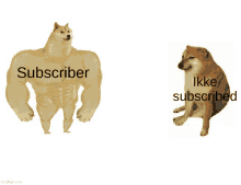 a picture of a dog with the words subscriber and ikke subscribed