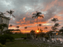 a sunset with palm trees in the foreground and a pool in the background