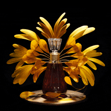 a bottle of perfume is surrounded by yellow feathers on a black background