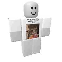 a roblox character with a picture of a cat on it