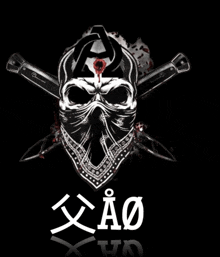 a picture of a skull with a bandana and the word ao on it