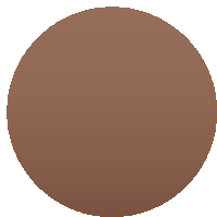 a brown circle on a white background with a gray border