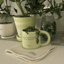 a green plant lover club mug sits on a towel