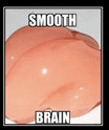 a picture of a peach with the words smooth brain on it .