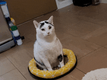 a black and white cat is sitting on a yellow cushion