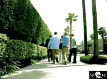 a group of people are walking down a sidewalk next to a palm tree .