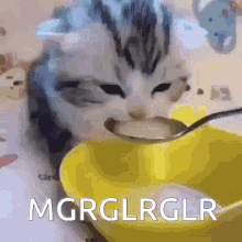 a cat is eating from a yellow bowl with a spoon and the words mgrglrglr written on the bottom