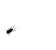 a black and white image of a bug on a white background .