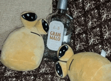 a bottle of gran malo sits next to a stuffed turtle