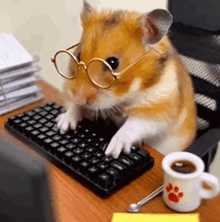a small hamster wearing glasses is typing on a keyboard .