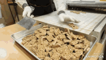 a tray of food with the words made in animatica on it