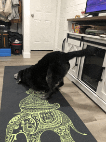 a black dog is playing on a yoga mat with an elephant on it