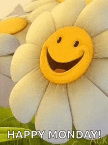 a flower with a smiley face on it and the words `` happy monday '' written below it .