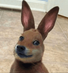 a dog that looks like a kangaroo with rabbit ears