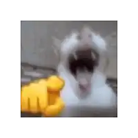a cat is pointing at the camera with its mouth open and a yellow fist .